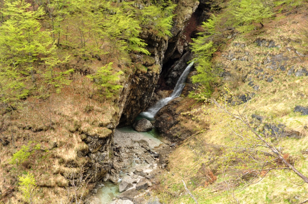 Parco delle Dolomiti Bellunesi